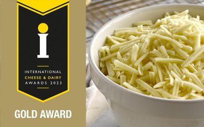 Ornua Ingredients Europe Gets a “Pizza the Action” with Double Gold at The International Cheese & Dairy Awards 2023!